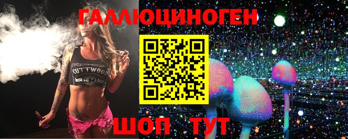 Галлюциногенные грибы Psilocybe  Галлюциногенные грибы мицелий  Будённовск  Вход с VPN 